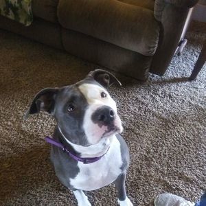 Meet your Posher, Robert